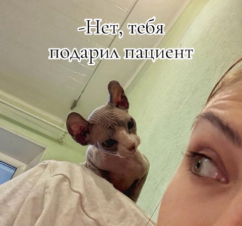 6 тебя 4