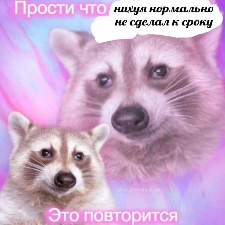 Простич что нихуя нормально не сделал к сроку Это