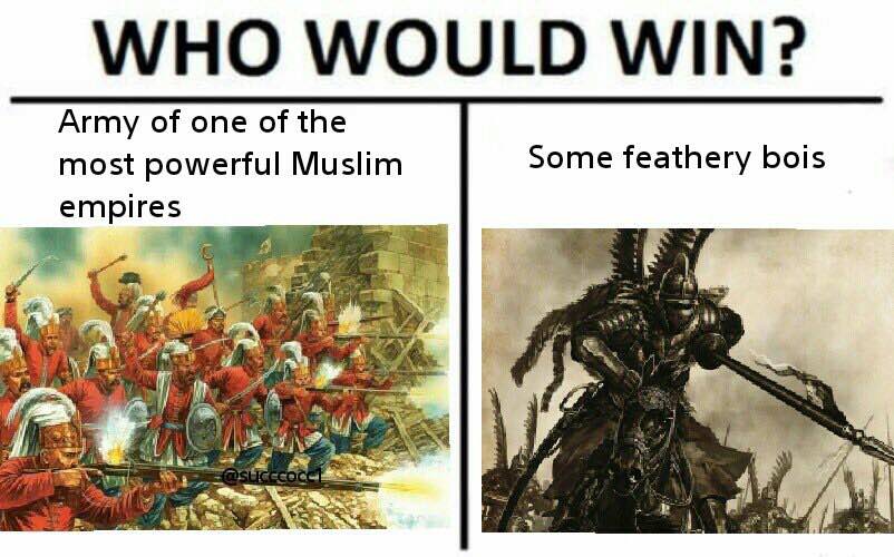 WHO WOULD WIN? Army of one of the Some feathery bois most powerful Muslim empires A vat