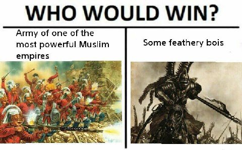 WHO WOULD WIN? Army of one of the Some feathery bois most powerful Muslim empires A vat