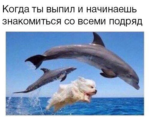 Когда ты выпил и начинаешь знакомиться всеми подряд