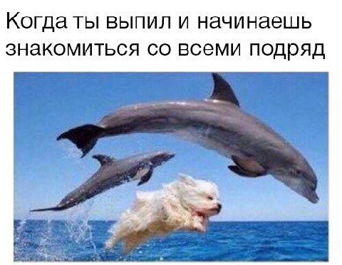 Когда ты выпил и начинаешь знакомиться всеми подряд
