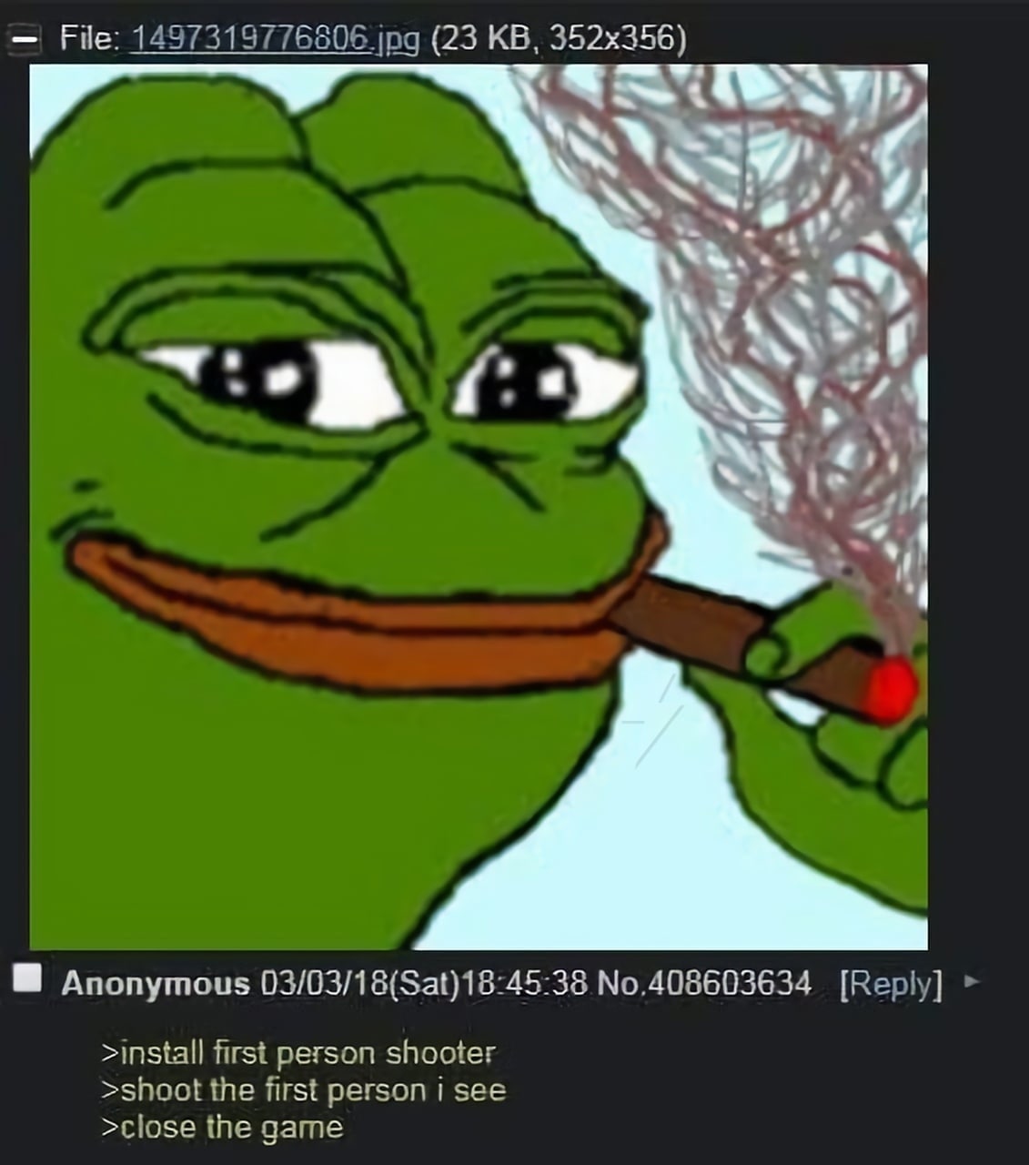 File: 1497319776806 jpg (23 а в icy A. Anonymous 03/03/18(Sat)18:45:38 №.408603634 [Reply] >install first person shooter >shoot the first person i see >close the game