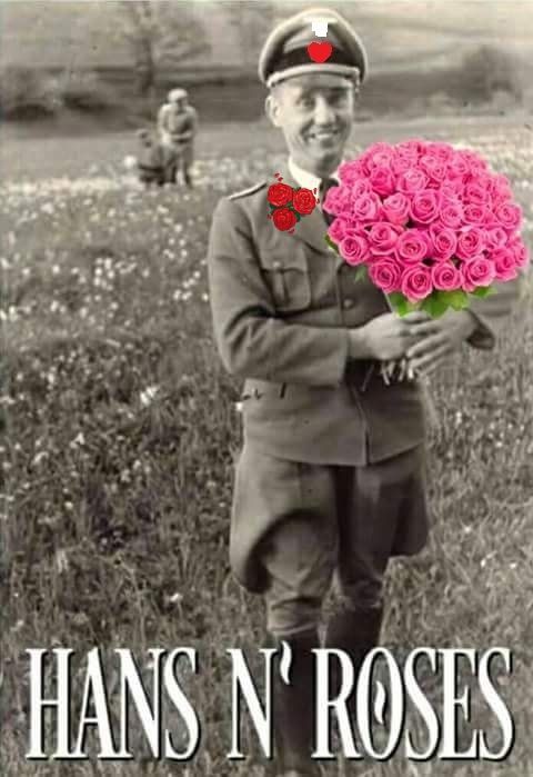 HANS ROSES