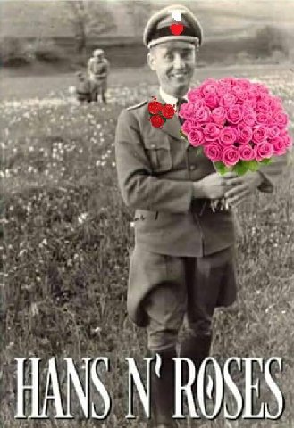 HANS ROSES