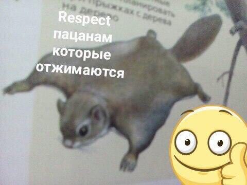 пацанам которые