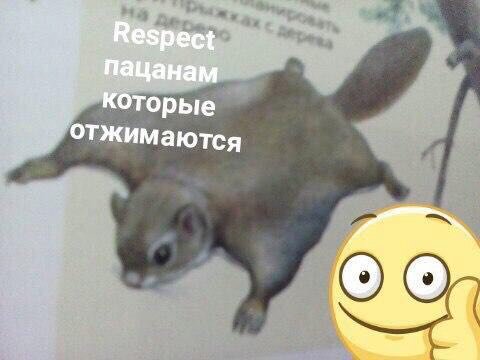 пацанам которые