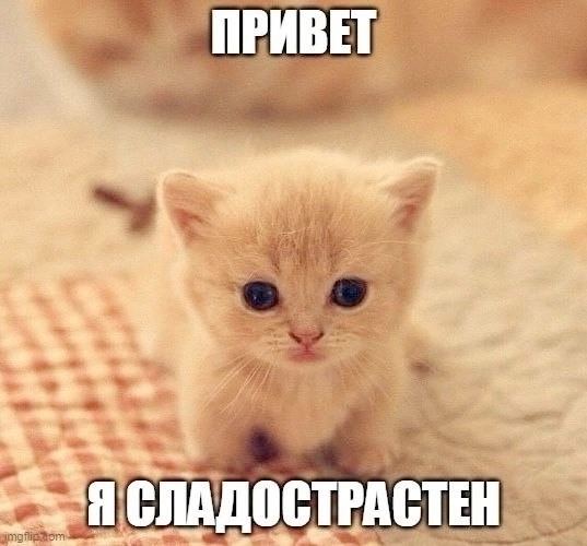 ПРИВЕТ ДОСТРАСТЕН