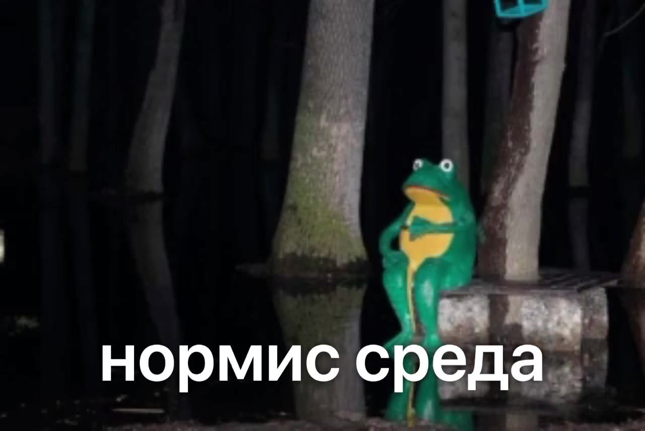 нормис среда. нормис: еда.