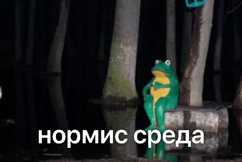 нормис среда. нормис: еда.