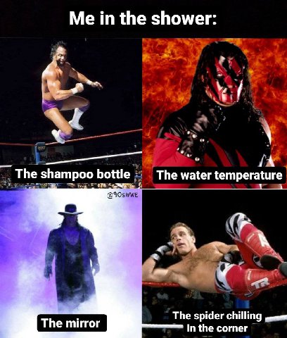 in the shower: The shampoo bottle The water temperature The spider chilling The mirror In the corner