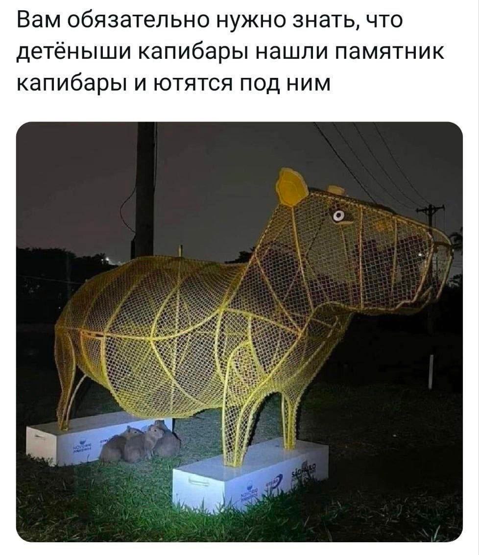 Вам обязательно нужно знать, что детёныши капибары нашли памятник капибары И ЮТЯТСЯ ПОД НИМ