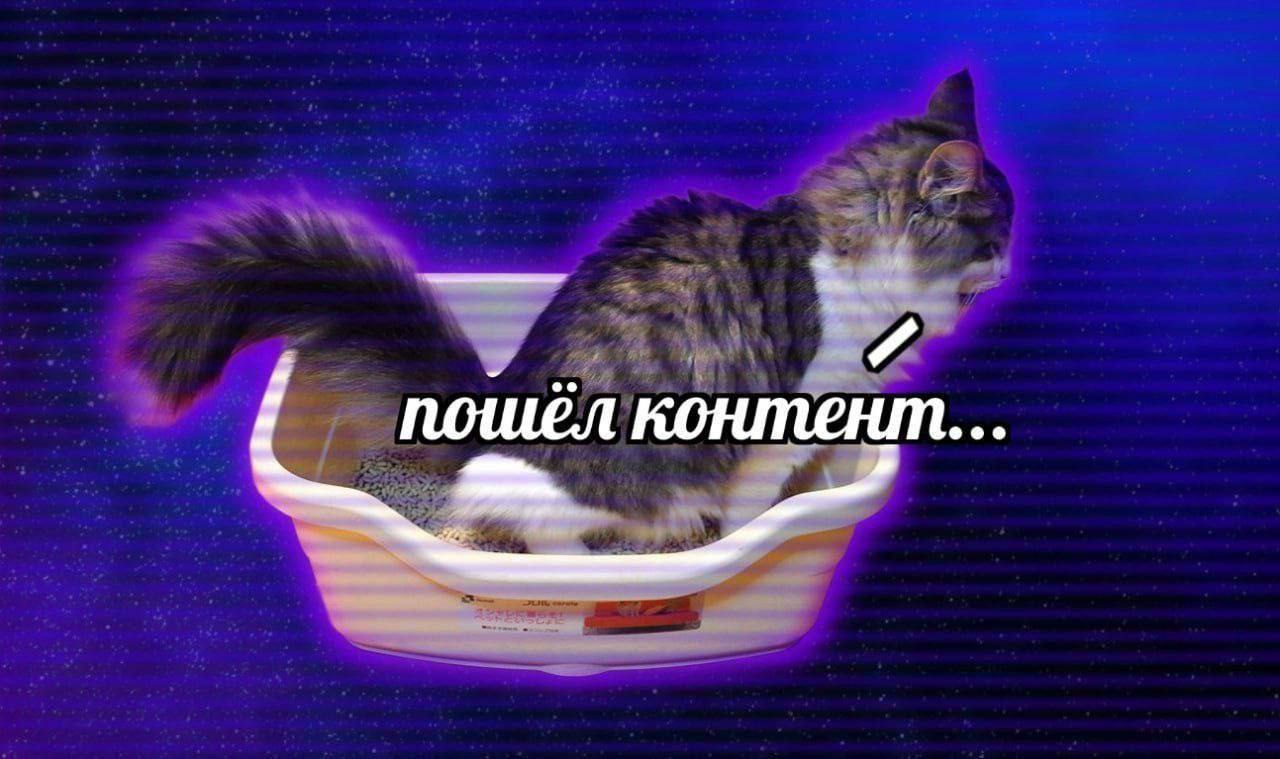 пошел контент