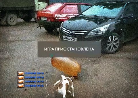 ИГРА ПРИОСТАНОВЛЕНА