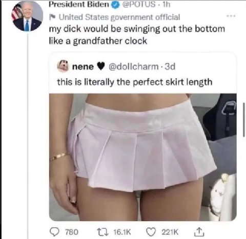 President Biden @POTUS United States government official my dick would be swinging out the bottom like a grandfather clock пепе @dollcharm- this is literally the perfect skirt length 70