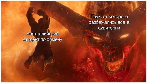 Паук, от которого разбежались все в аудитории Австралийский студент по обмену