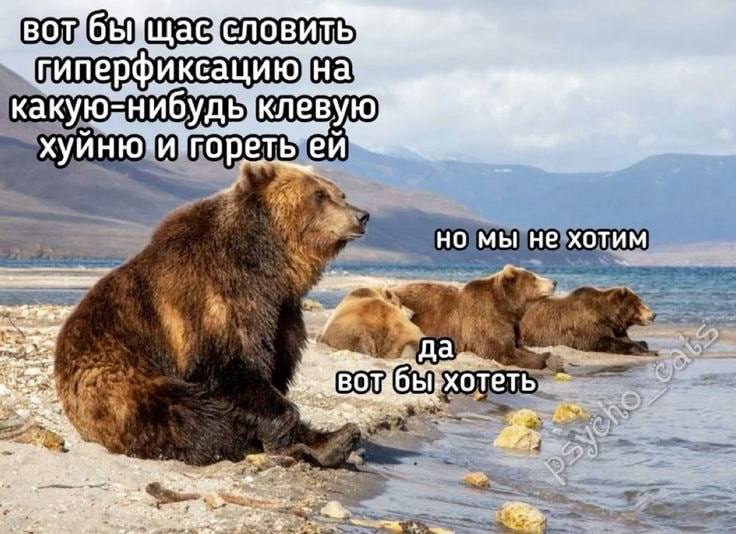 BOT'O какую-нибудыклевую хуйню"и гореть но мы не хотим да