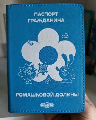 ПАСПОРТ ГРАЖДАНИНА РОМАШКОВОЙ ДОЛИНЫ А
