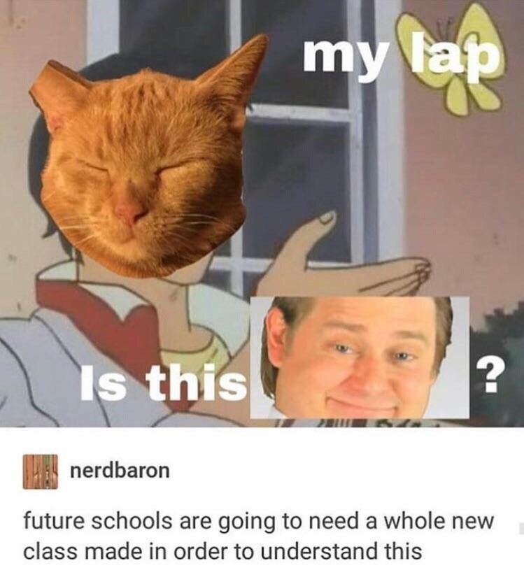 His nerdbaron future schools are going to need a whole new class made in order to understand this