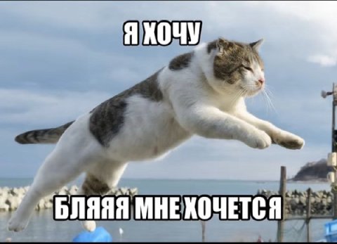 Я ХОЧУ "БЛЯЯЯ МНЕХОЧЕТСЯ