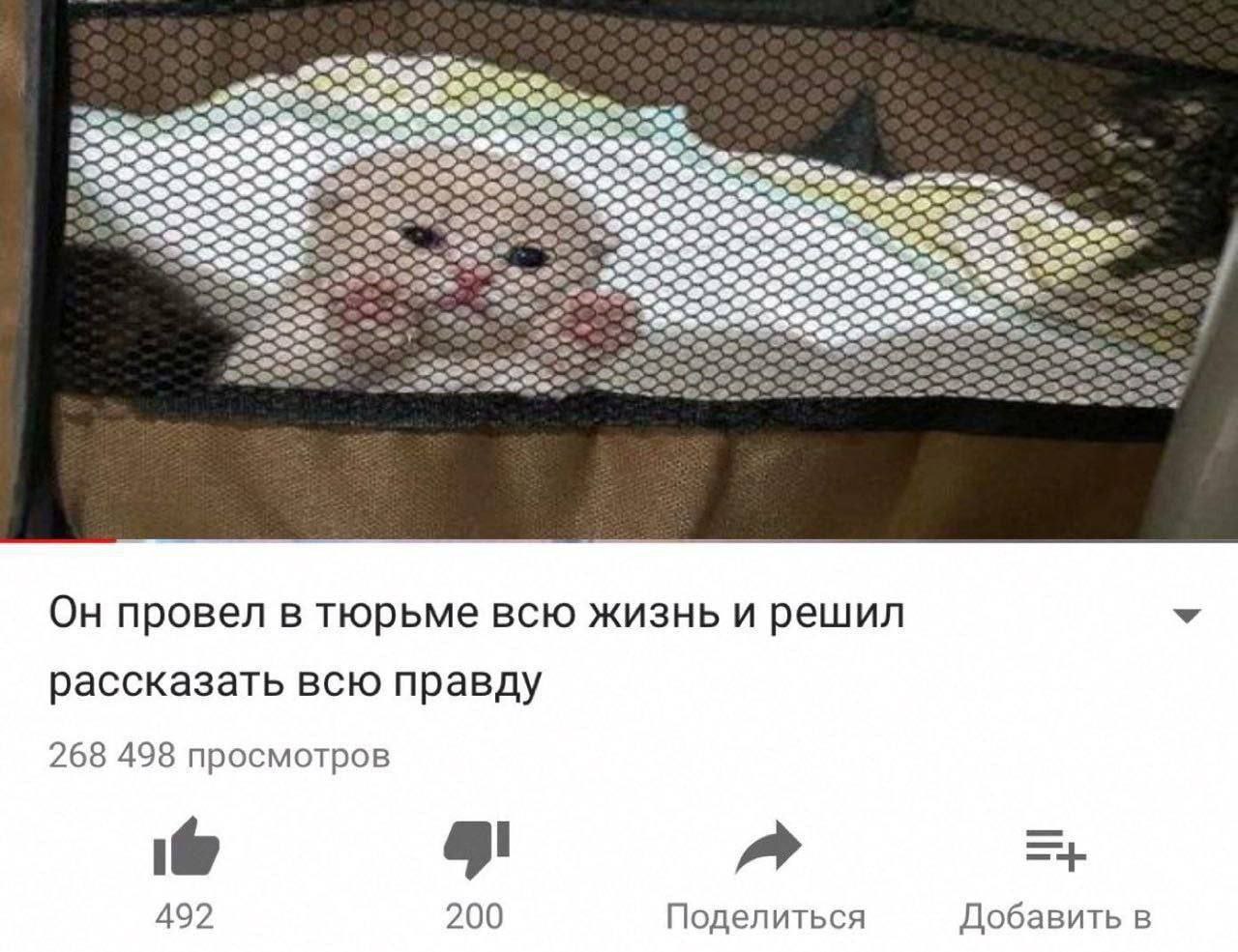 провел в тюрьме всю жизнь и решил У рассказать всю правду 268 498 просмотров 492 200 Поделиться Добавить в