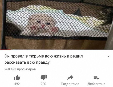 провел в тюрьме всю жизнь и решил У рассказать всю правду 268 498 просмотров 492 200 Поделиться Добавить в