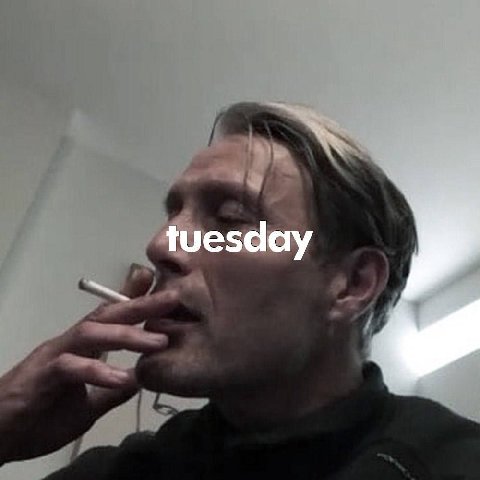 tuesday