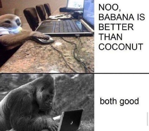 NOO, ВАВАМА IS ВЕТТЕК THAN COCONUT both good
