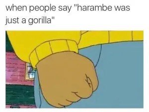 when people say "harambe was just a gorilla"