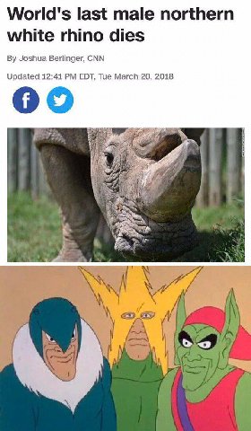 World's last male northern white rhino dies Joshua Berlinger, CNN Updated 12:41 EDT, Tue March 20, 2018 и о