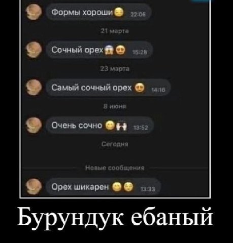 Формы хороши Сочный орех Самый сочный орех Очень сочно $4 Орех шикарен 13:33 Бурундук ебаный