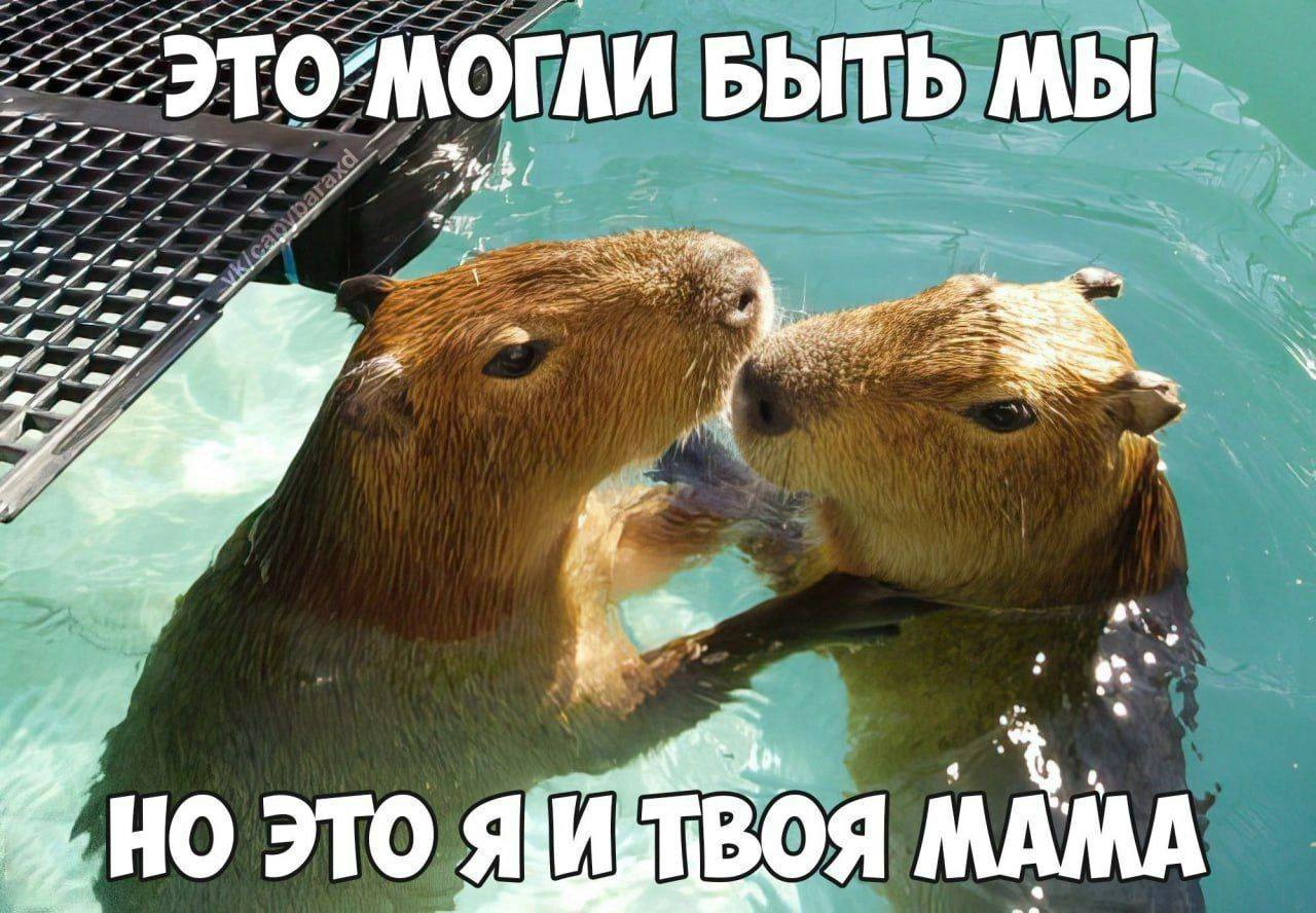 И у нее охуенные блинчики