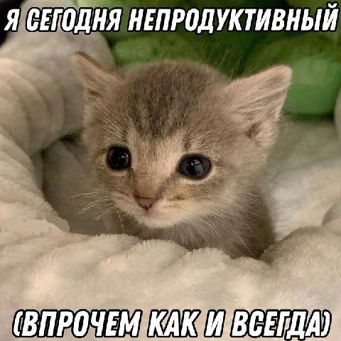 Я СЕГОДНЯ НЕПРОДУКТИВНЫЙ (ВПРОЧЕМ