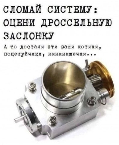 СЛОМАЙ СИСТЕМУ: ОЦЕНИ ДРОССЕЛЬНУЮ ЗАСЛОНКУ А то достали эти ваши котики, поцелуйчики,