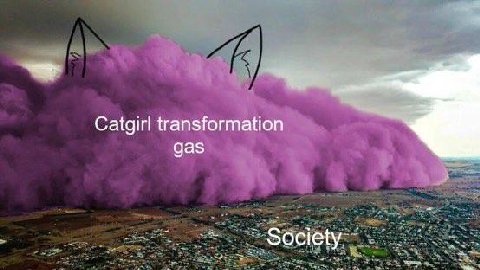 Catgirl transformation gas