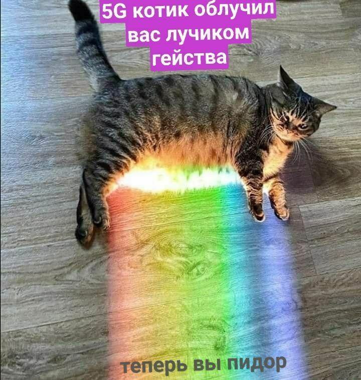 котик облучил ‘вас лучиком гейства