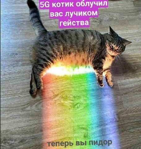 котик облучил ‘вас лучиком гейства