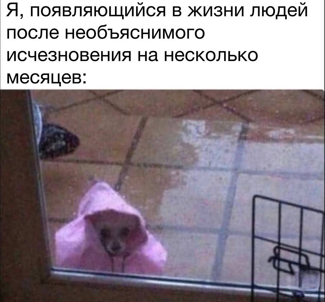 Я, появляющийся в жизни людей после необъяснимого исчезновения на несколько месяцев: