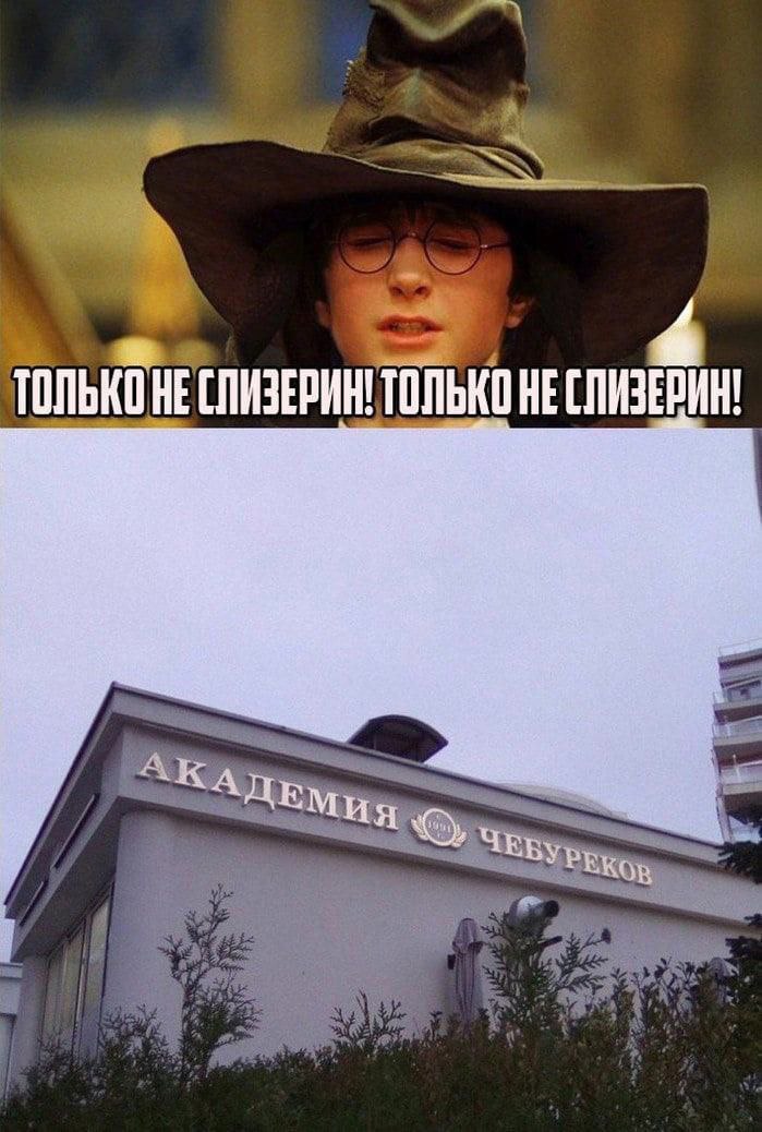 ТОЛЬ HE СЛИЗЕРИН! 22 a 4 at 3“