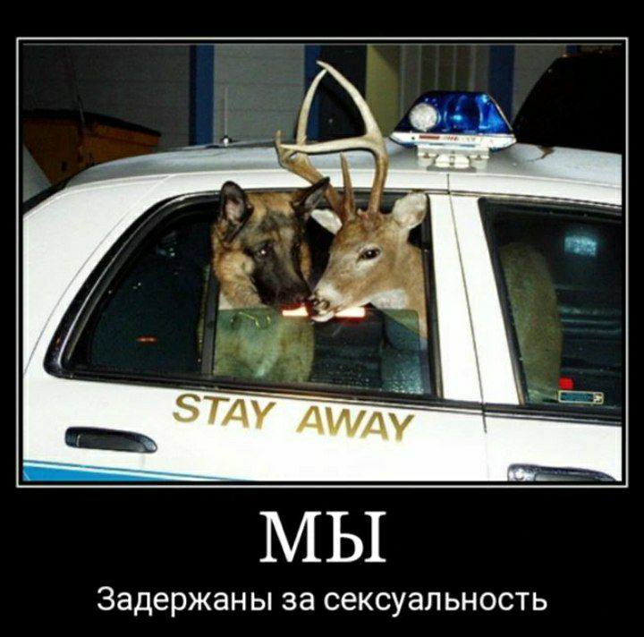 STAY AWAY МЫ Задержан за сексуальность