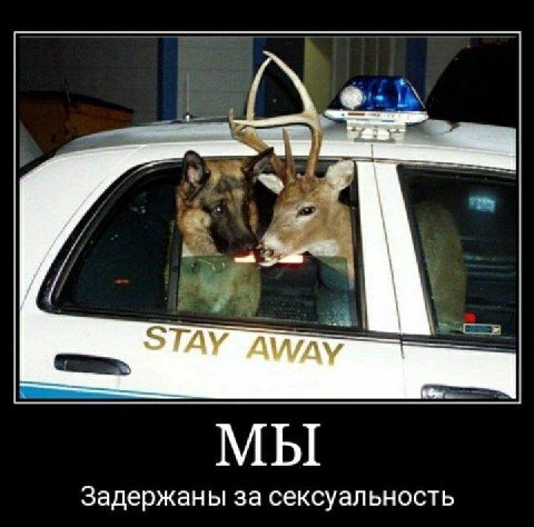 STAY AWAY МЫ Задержан за сексуальность