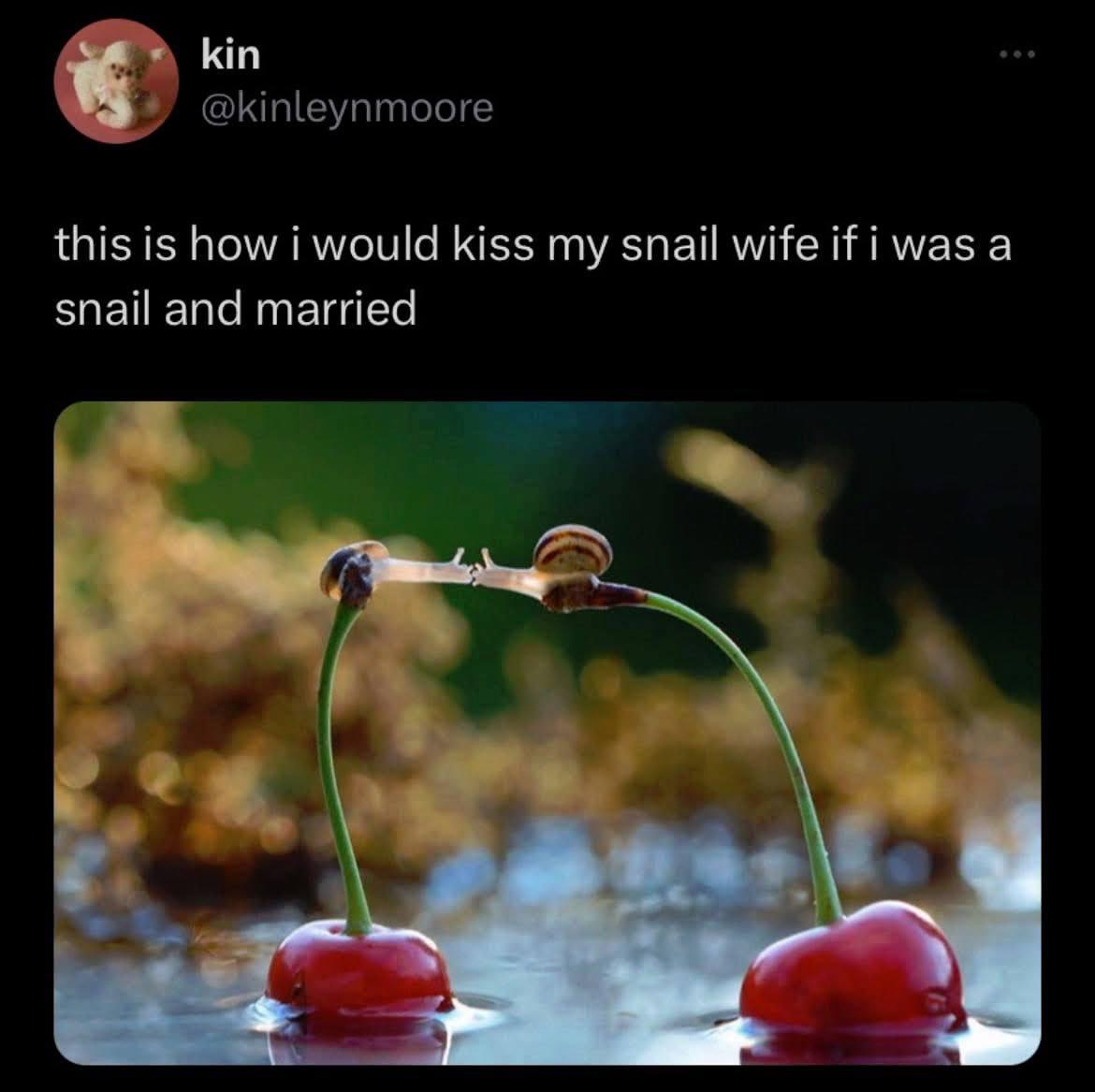 kin this is how i would kiss my snail wife ifi was a snail and married