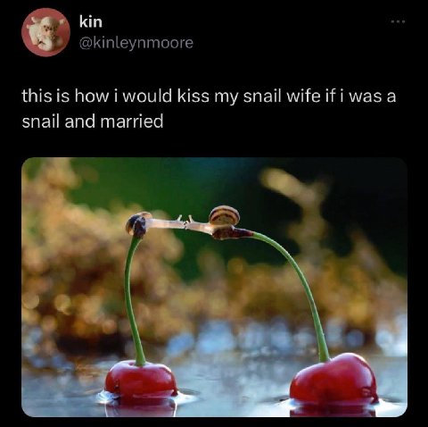 kin this is how i would kiss my snail wife ifi was a snail and married