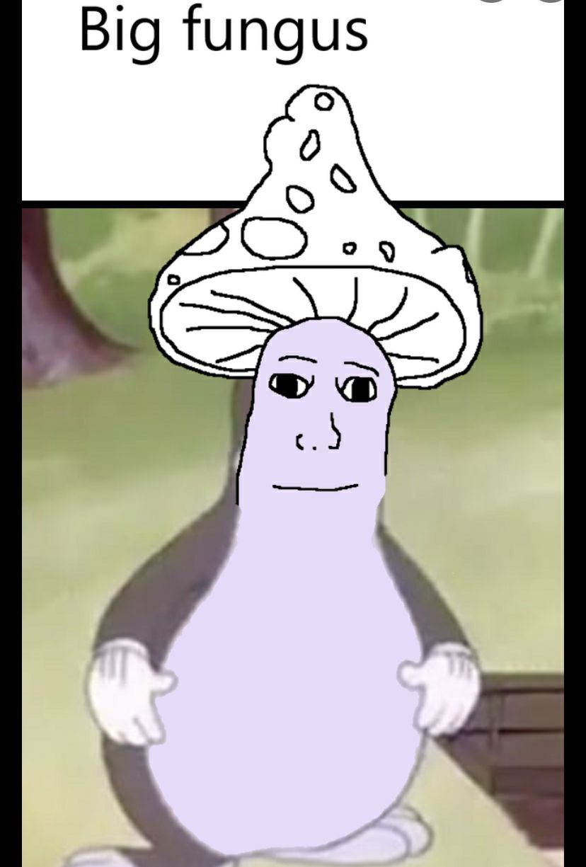 Big fungus с.)