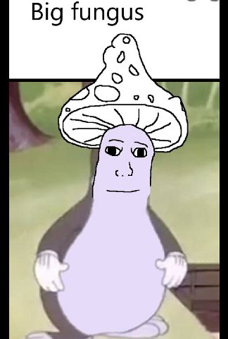 Big fungus с.)