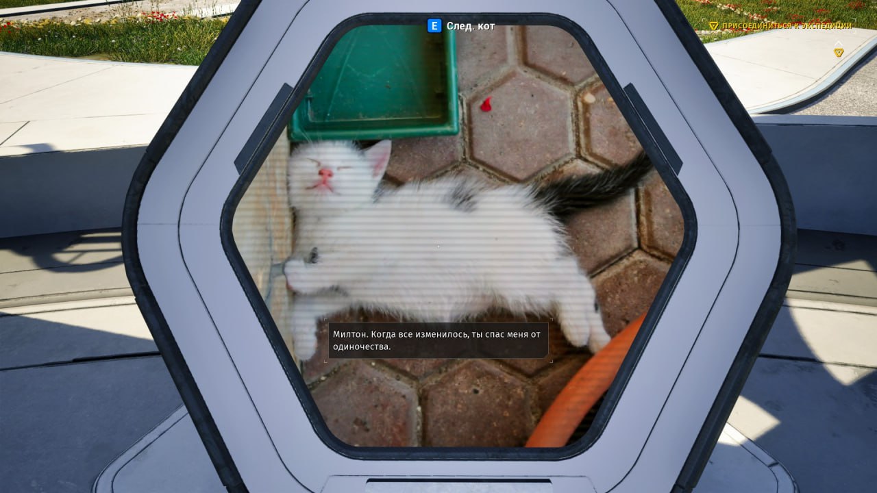 8 Милтон. Когда все изменилось, ты спас меня одиночества.
