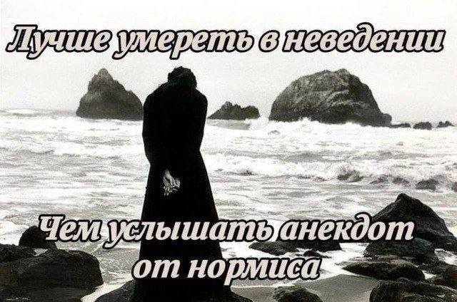 22 Чем нортиса