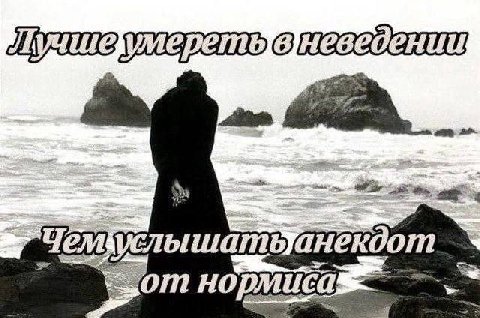 22 Чем нортиса