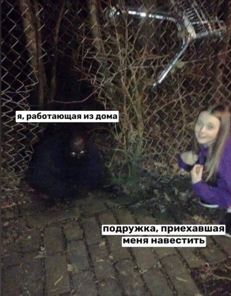 я, работающая из дома подружка, приехавшая меня навестить