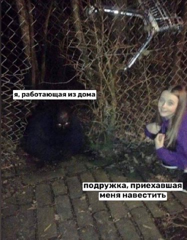 я, работающая из дома подружка, приехавшая меня навестить